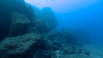 Imagem de 7ª edição do Bio Talks dedicado à ciência e ao ambiente