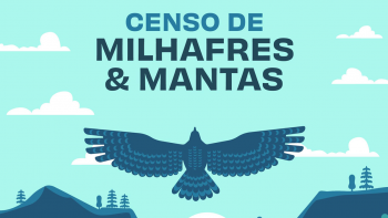 Imagem de 20ª edição do Censo de Milhafres/Mantas decorre este fim de semana