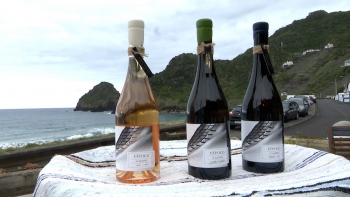 Imagem de ‘Céptico’: Novo vinho da ilha Santa Maria