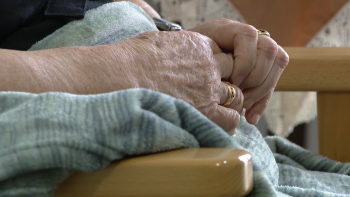 Imagem de Cuidados Paliativos: Ordem dos Enfermeiros alerta que é preciso formar profissionais