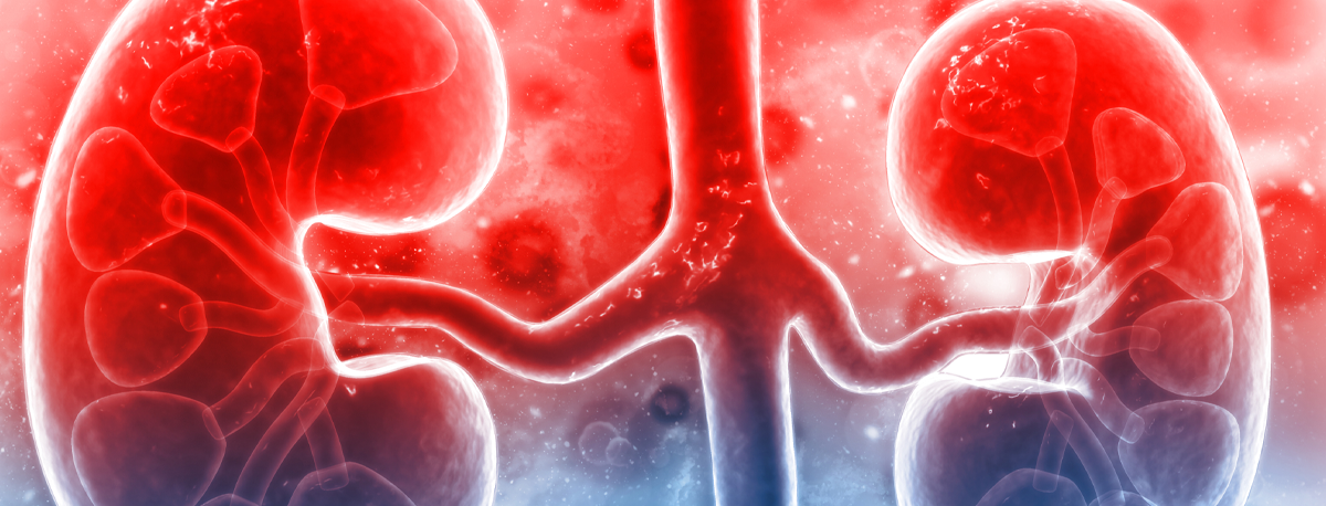 Imagem de Dia Mundial do Rim: Prevalência de insuficiência renal nos Açores é das mais elevadas do país