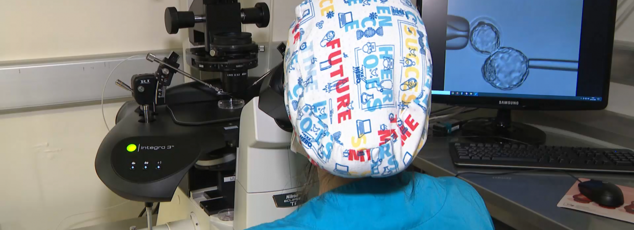 Imagem de Biópsias em embriões permitem diagnosticar doenças graves