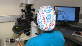 Imagem de Biópsias em embriões permitem diagnosticar doenças graves