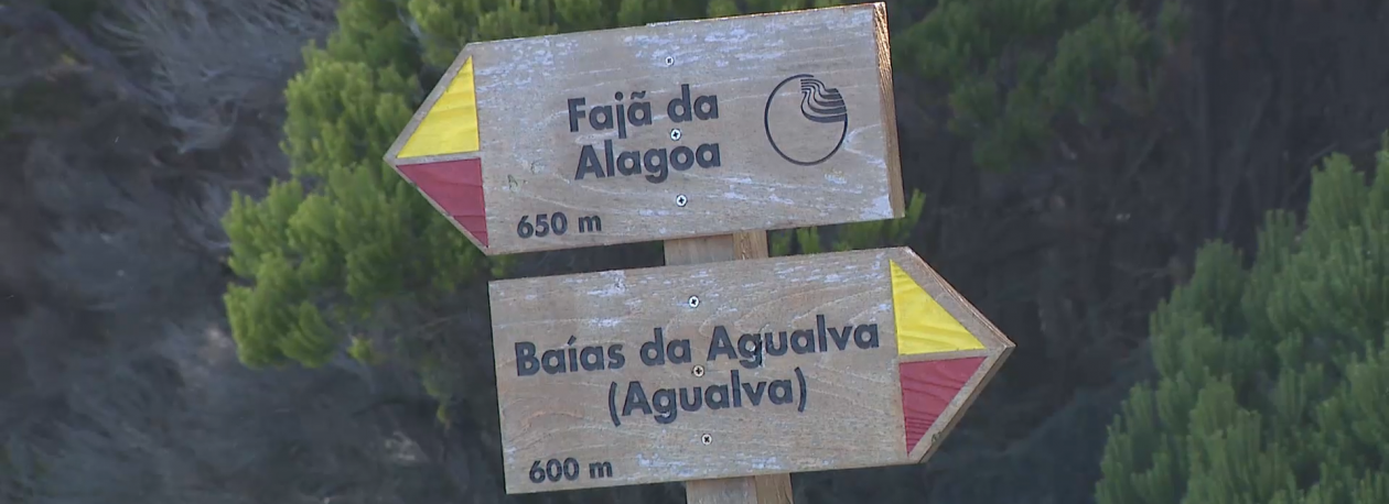 Imagem de Estrada de acesso a miradouro na Agualva está quase intransitável