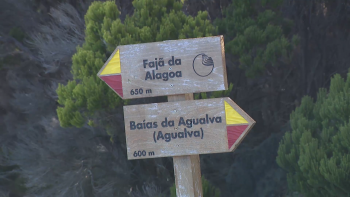 Imagem de Estrada de acesso a miradouro na Agualva está quase intransitável