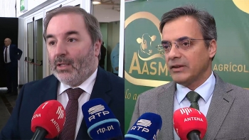 Imagem de Eurodeputados açorianos manifestaram satisfação com blindagem do POSEI no Parlamento Europeu