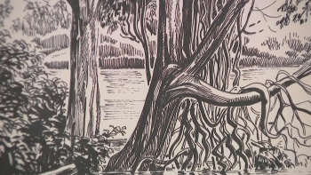 Imagem de Museu Militar dos Açores abre portas à ‘Travessia’: Exposição de Neves e Sousa em Ponta Delgada