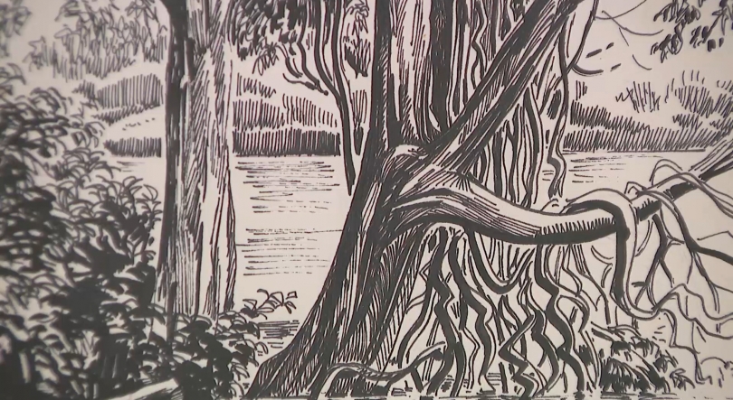 Imagem de Museu Militar dos Açores abre portas à 'Travessia': Exposição de Neves e Sousa em Ponta Delgada