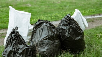 Imagem de Câmara de Ponta Delgada avança com sistema de recolha de lixo porta a porta em três freguesias
