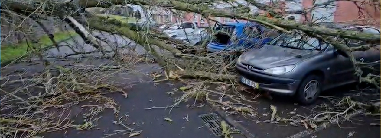 Imagem de Mau tempo: Depressão Therese provoca cerca de 60 ocorrências