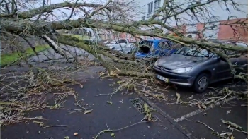 Imagem de Mau tempo: Depressão Therese provoca cerca de 60 ocorrências