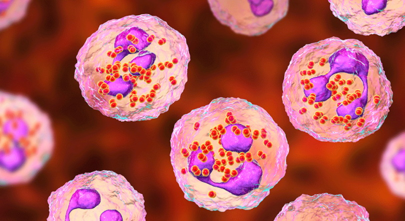 Imagem de Caso de meningite em escola dos Açores “não é de alarme”