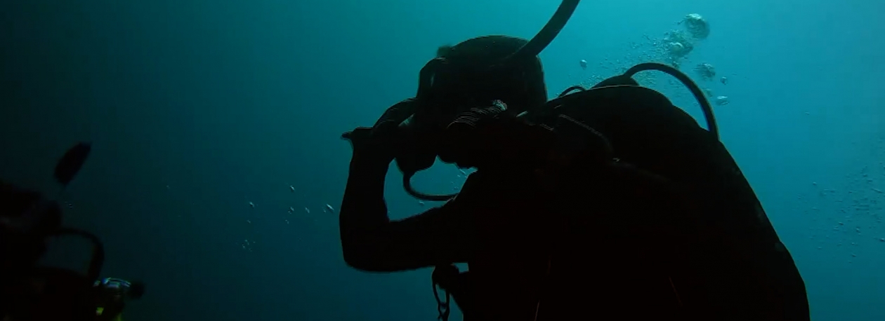 Imagem de WHALEFALL forma alunos do secundário em tecnologia de ponta para obervar os oceanos