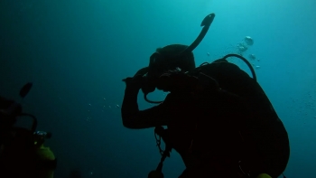 Imagem de WHALEFALL forma alunos do secundário em tecnologia de ponta para obervar os oceanos