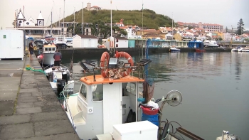 Imagem de Federação das Pescas preocupada com falta de raio-x em São Jorge