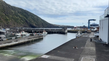 Imagem de PCP/Açores alerta para necessidade de reforço nos apoios às pescas em São Jorge