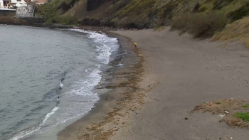 Imagem de BE avança com proposta para dotar Região de meios de resposta rápida à poluição por hidrocarbonetos