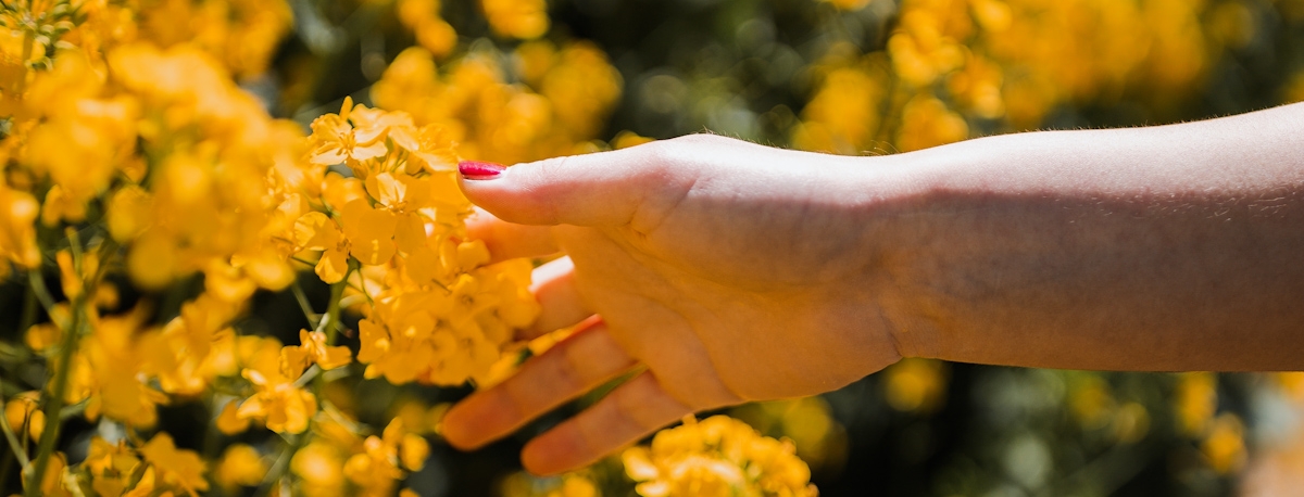 Imagem de Primavera: Que influência tem o sol no humor das pessoas