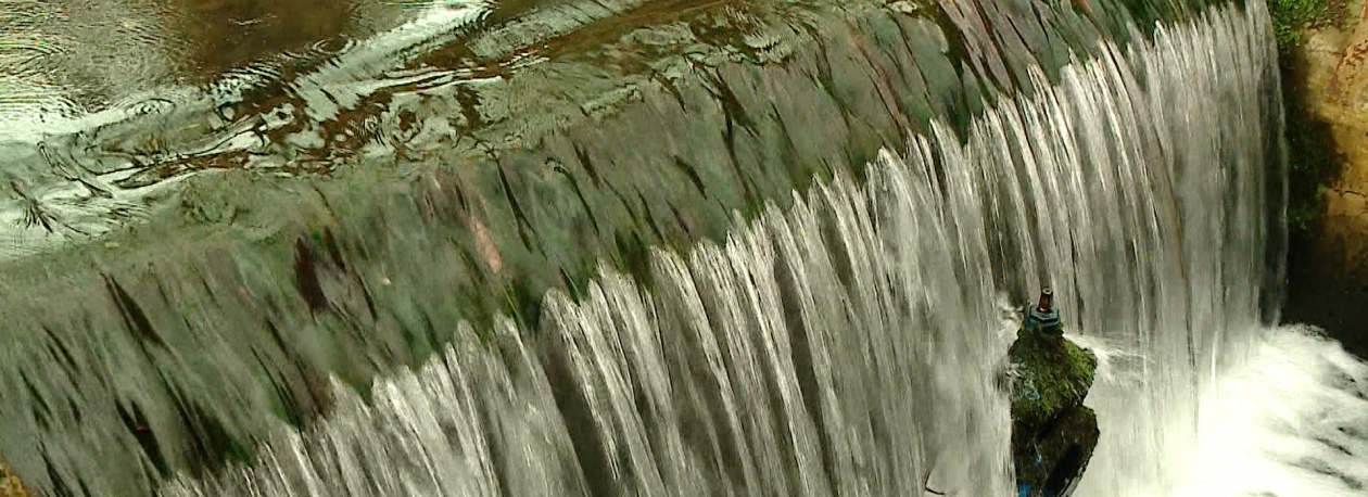 Imagem de Relatório das Ribeiras: Entre 2024 e 2025 registaram-se menos ocorrências