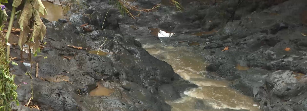 Imagem de Relatório do Estado das Ribeiras dos Açores em 2025 indica diminuição de ocorrências