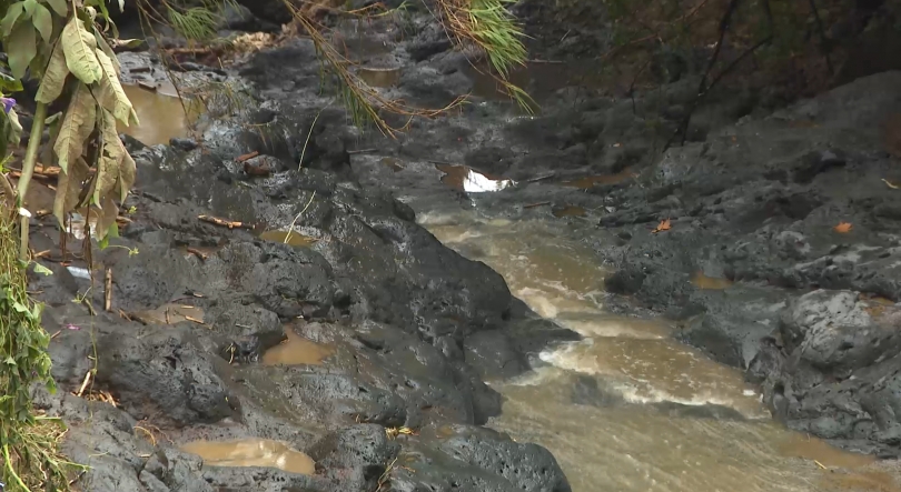 Associação alerta para urgente limpeza das estradas e ribeiras nos Açores