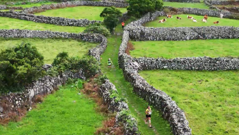 Imagem de 5ª edição do Trail do Queijo da Fajãzinha acontece em outubro