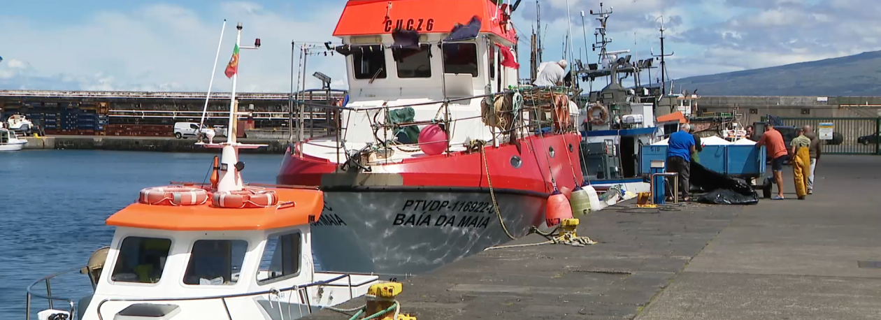 Imagem de Federação das Pescas exige resposta rápida para mitigar aumento do preço dos combustíveis