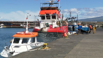 Imagem de Federação das Pescas exige resposta rápida para mitigar aumento do preço dos combustíveis