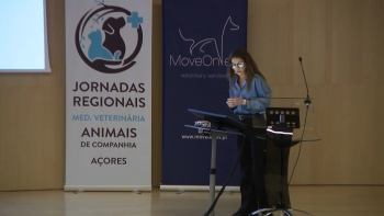 Imagem de Faltam médicos veterinários na Região