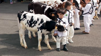 Imagem de Dezenas de jovens frequentaram Curso de Preparadores de Animais em São Miguel