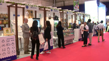 Imagem de SAGAL Expo: 25 empresas açorianas e mais de mil compradores internacionais
