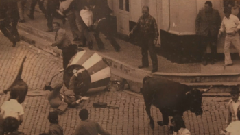 Imagem de Arraial Taurino decorre em Angra do Heroísmo