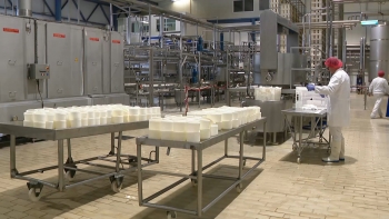 Imagem de Cooperativa laticínios do Faial salda dívida de 8 M€ à Lactaçores com transferência da propriedade da fábrica