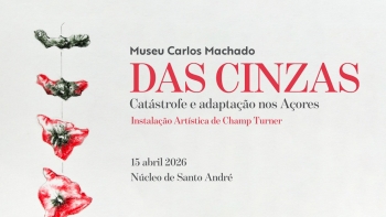 Imagem de Instalação ‘DAS CINZAS’ reflete sobre identidade dos Açores a partir das catástrofes