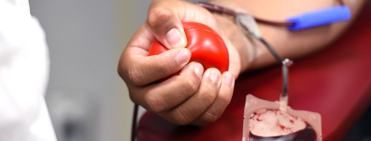 Imagem de Cruz Vermelha promove recolha de sangue em São Miguel