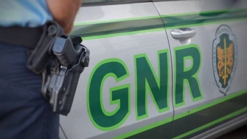 GNR apreende 194 artigos contrafeitos em Ponta Delgada