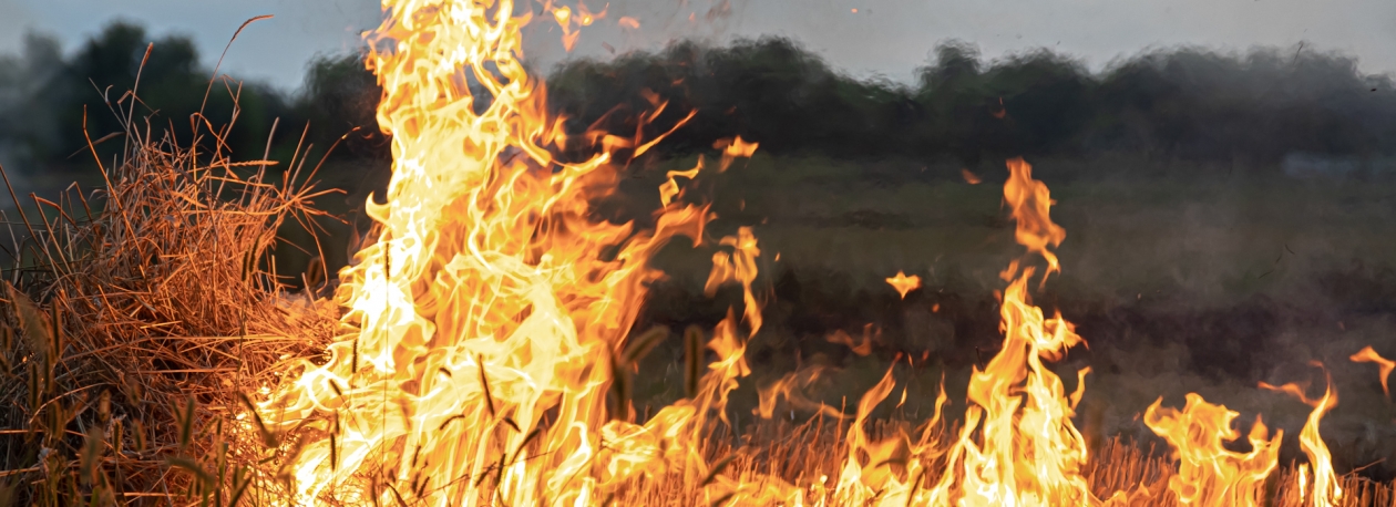 Imagem de Quase 200 incêndios urbanos foram registados nos Açores em 2025