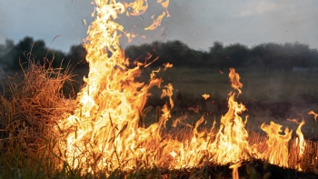 Imagem de Quase 200 incêndios urbanos foram registados nos Açores em 2025