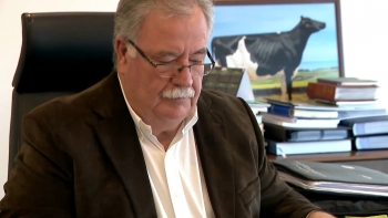 Imagem de Conselho Ilha São Miguel: Jorge Rita reeleito com 72% dos votos