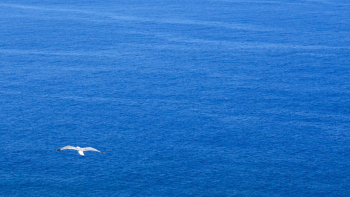 Dia Europeu do Mar:  Açores promovem 22 ações de limpeza costeira e subaquática