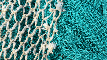 Imagem de Federação das Pescas diz que aumento abrupto no preço dos combustíveis compromete sustentabilidade do setor