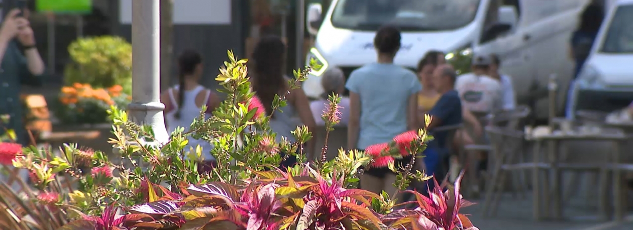 Imagem de CCIPD denuncia baixas fraudulentas através de plataformas online