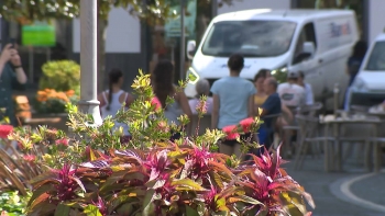 Imagem de CCIPD denuncia baixas fraudulentas através de plataformas online