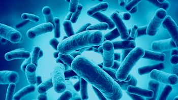 Imagem de Existem estudos que colocam em causa os benefícios dos probióticos na saúde