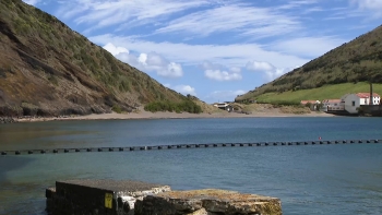 Imagem de Projeto-piloto no Faial pretende controlar o arrojamento da alga