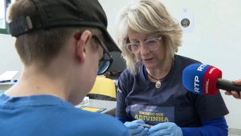 Imagem de Crianças e jovens participam em rastreio para deteção precoce da diabetes
