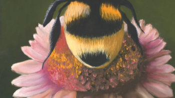 Imagem de ‘Renascimentos’ é a primeira exposição individual de pintura de Florinda Pinheiro