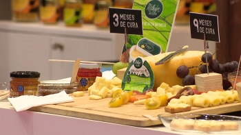 Imagem de EUA, Canadá e norte da Europa são os mercados externos que compram mais produtos açorianos