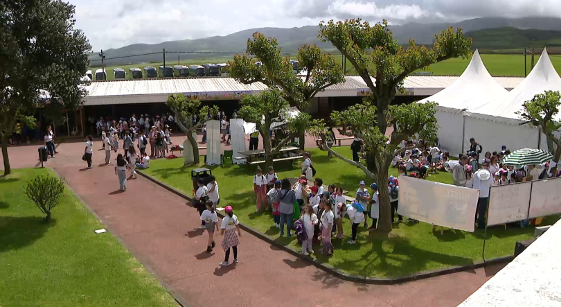 Imagem de Três mil crianças na Feira de Santana em Dia Nacional da Agricultora
