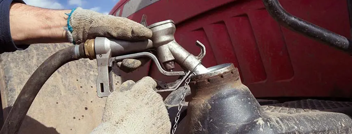 Imagem de Governo açoriano admite assumir 10 cêntimos do aumento do preço do gasóleo agrícola